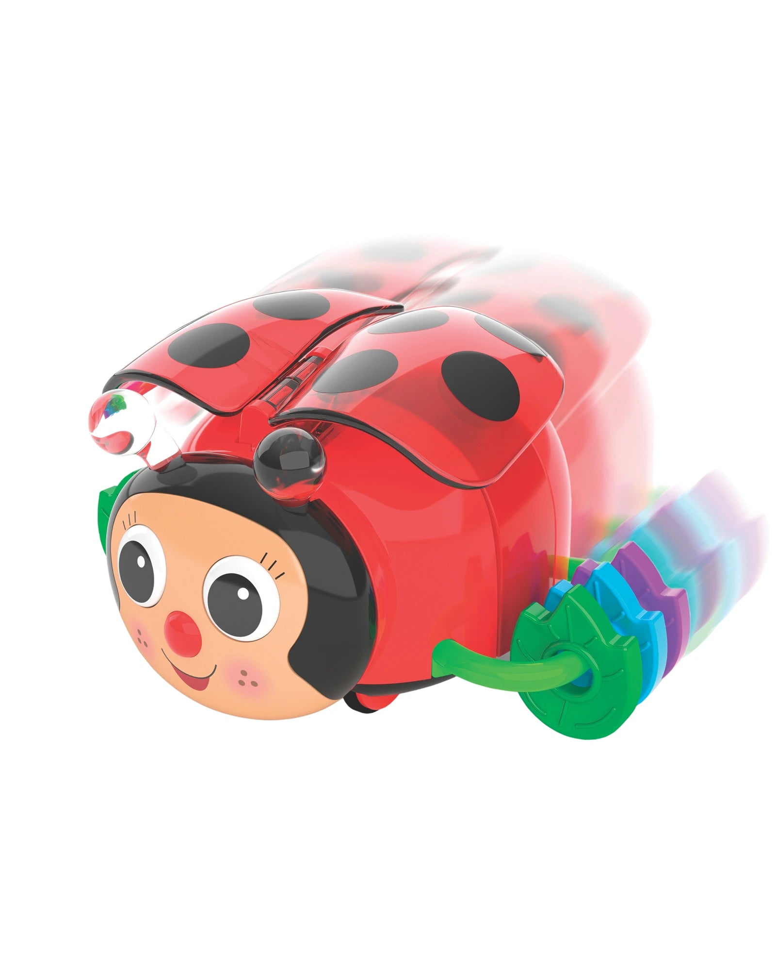 Crawl About Ladybug