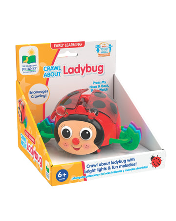 Crawl About Ladybug
