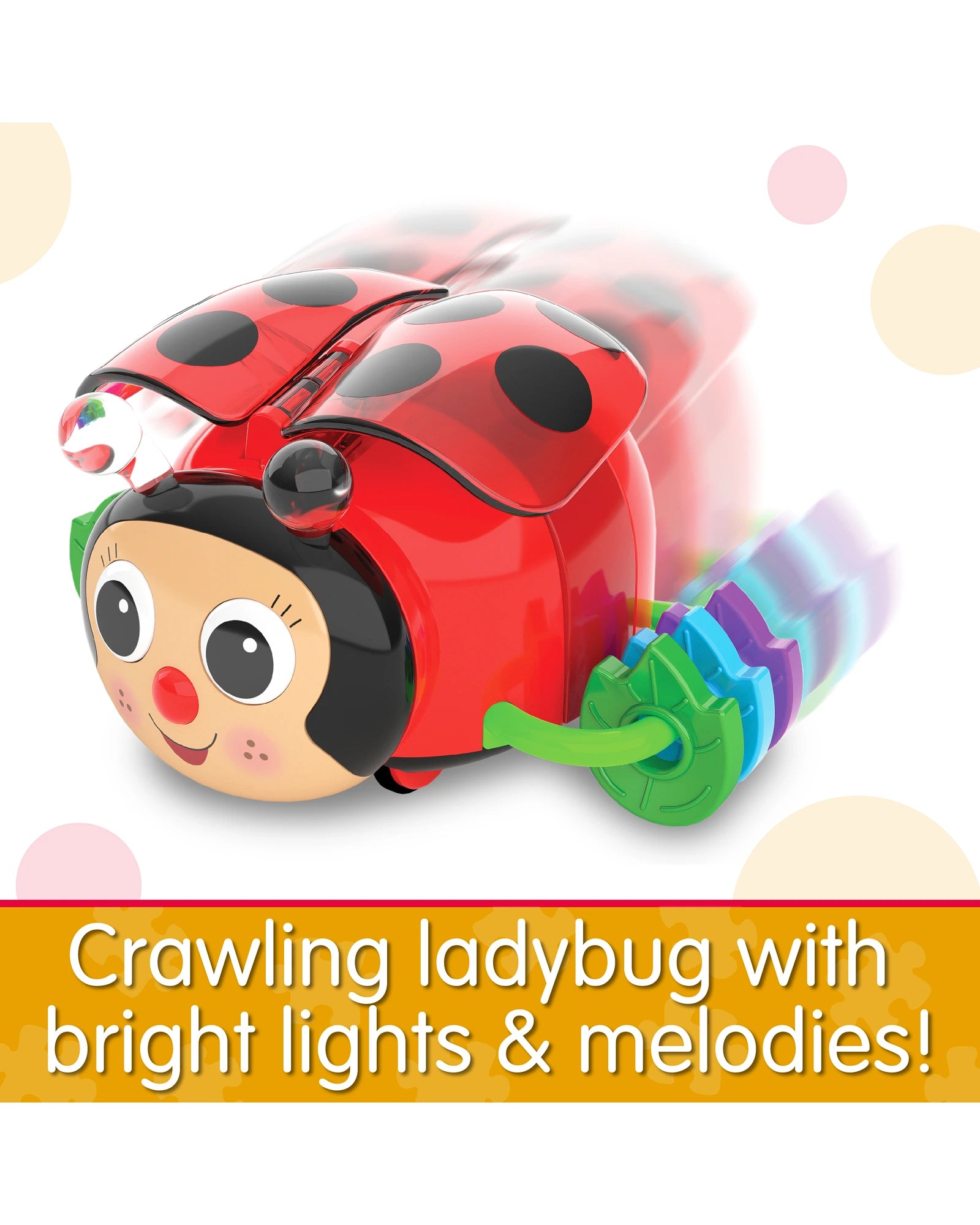 Crawl About Ladybug
