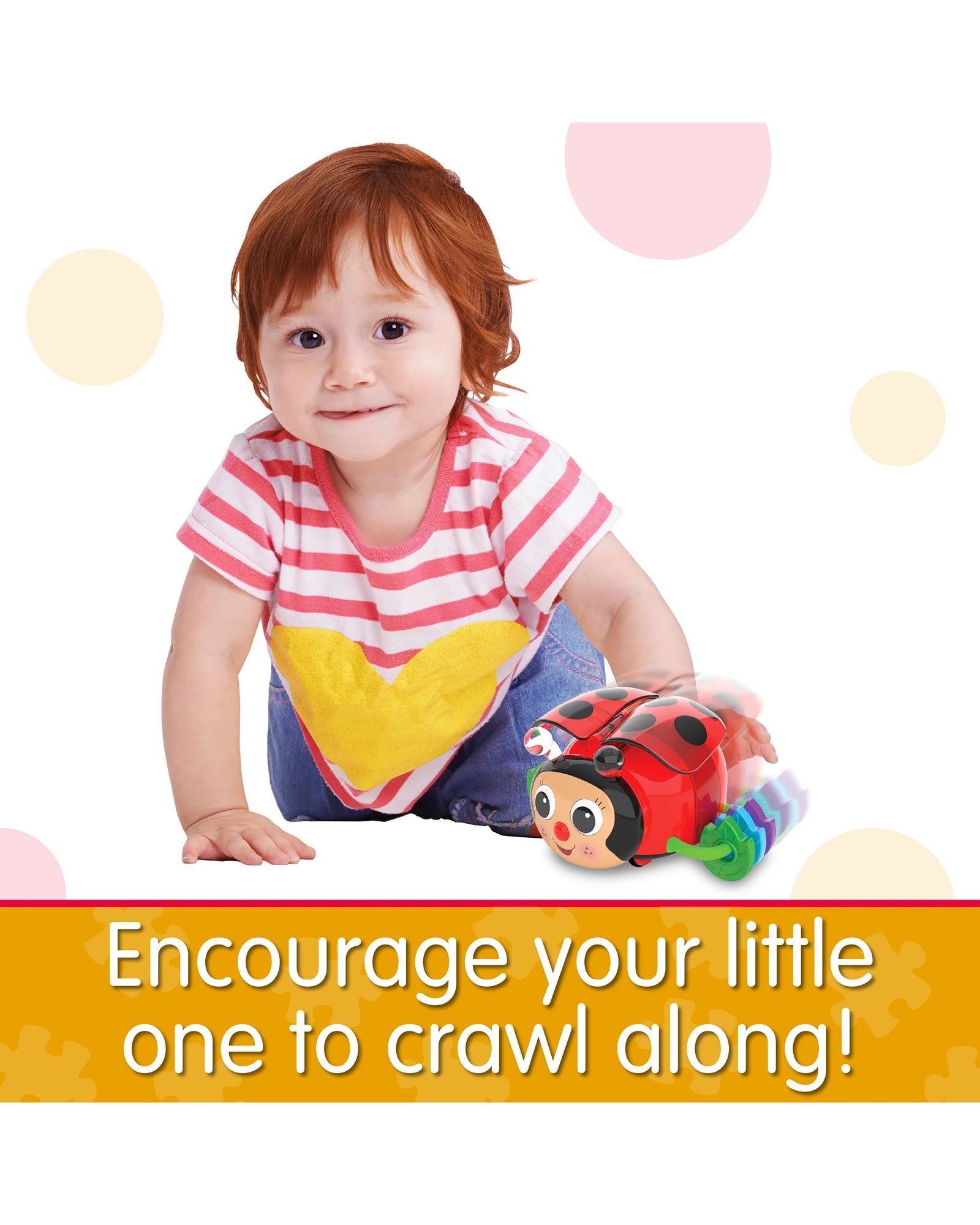 Crawl About Ladybug