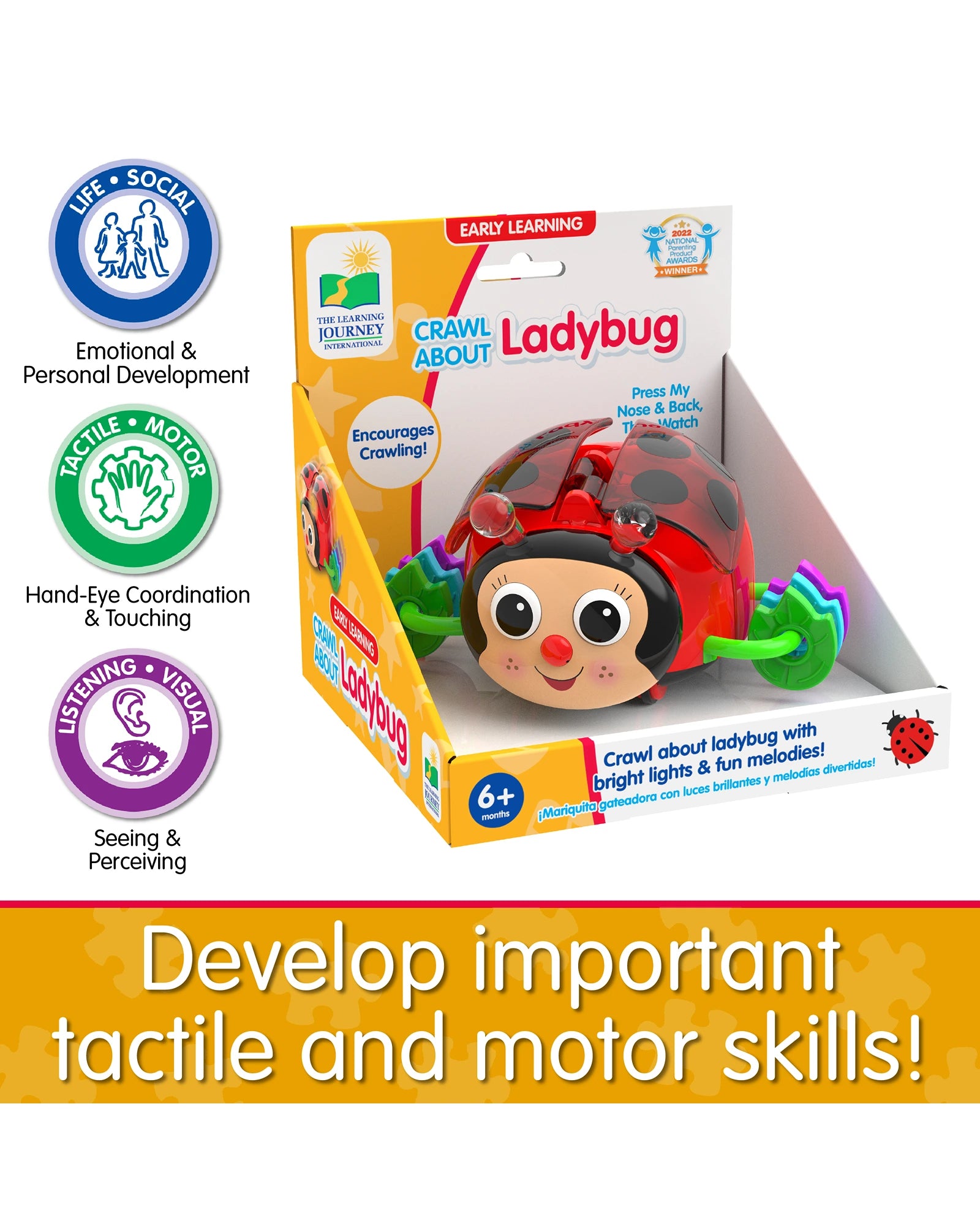 Crawl About Ladybug