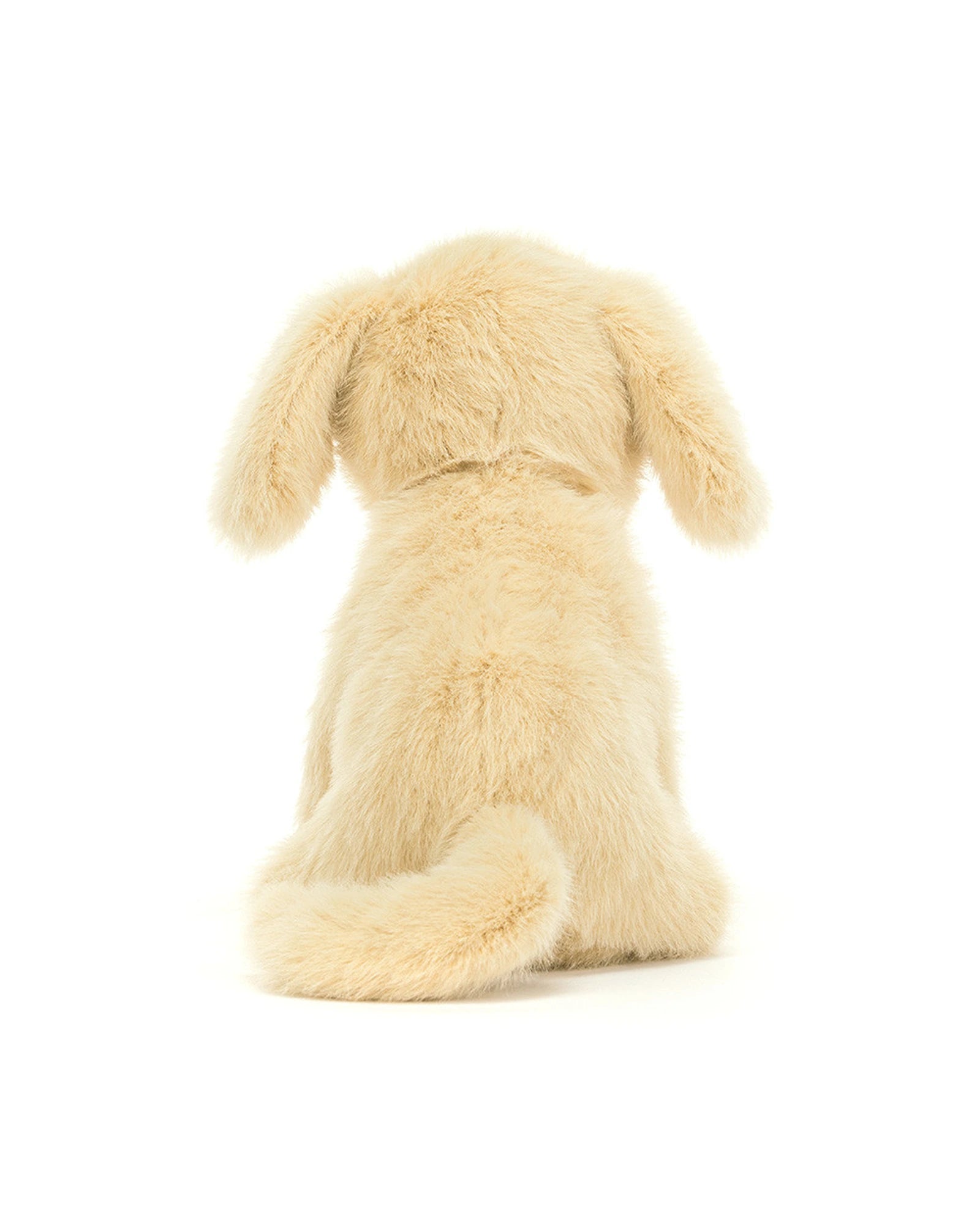 Golden Puppy