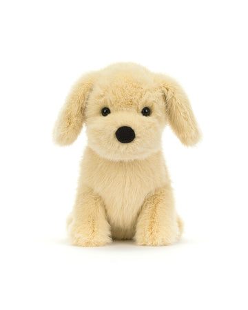 Golden Puppy