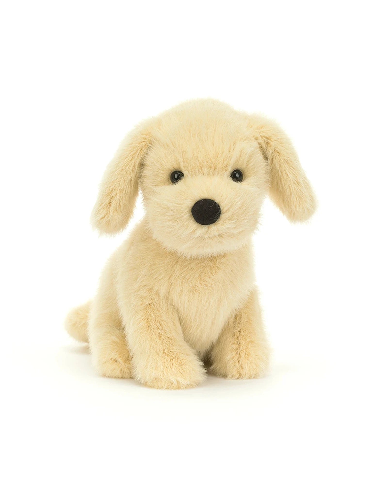 Golden Puppy
