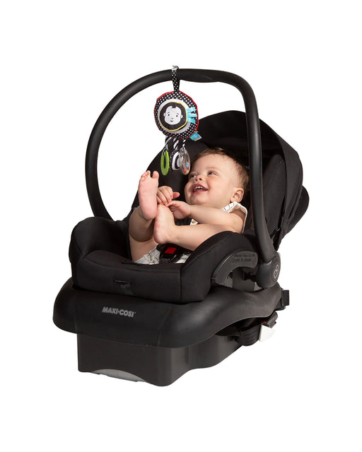 Wimmer Ferguson Sight and Sounds Travel Toy