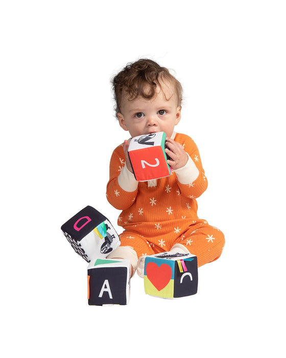 Wimmer Ferguson Mind Cubes