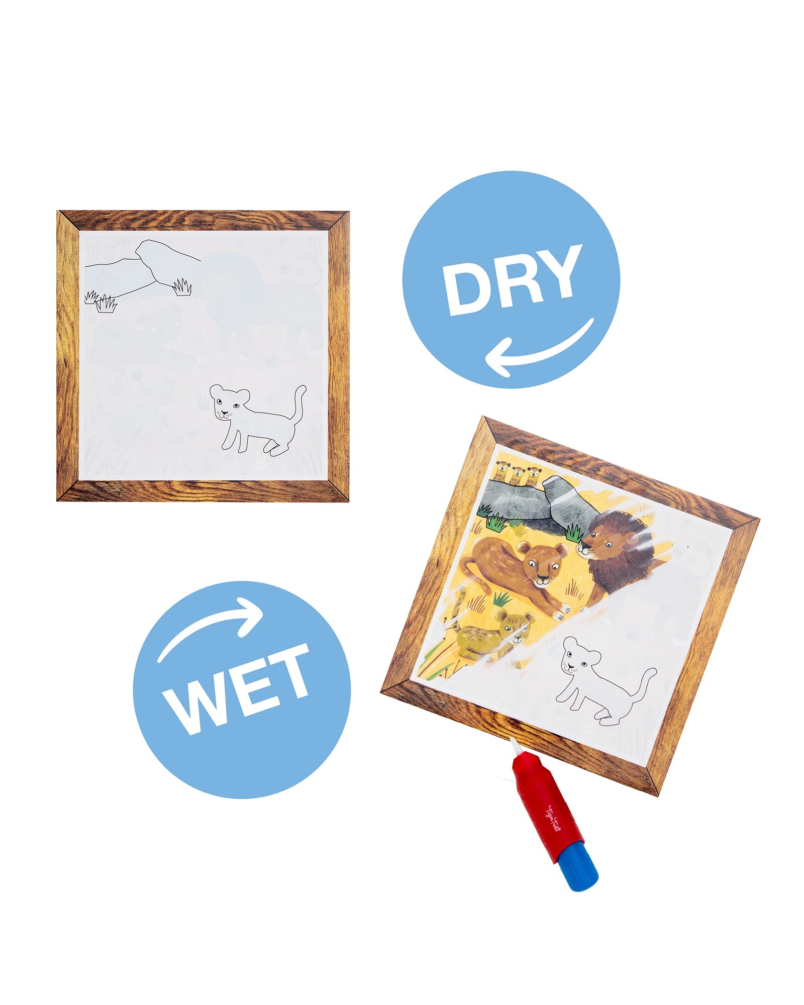 Magic Painting World - Safari Adventures