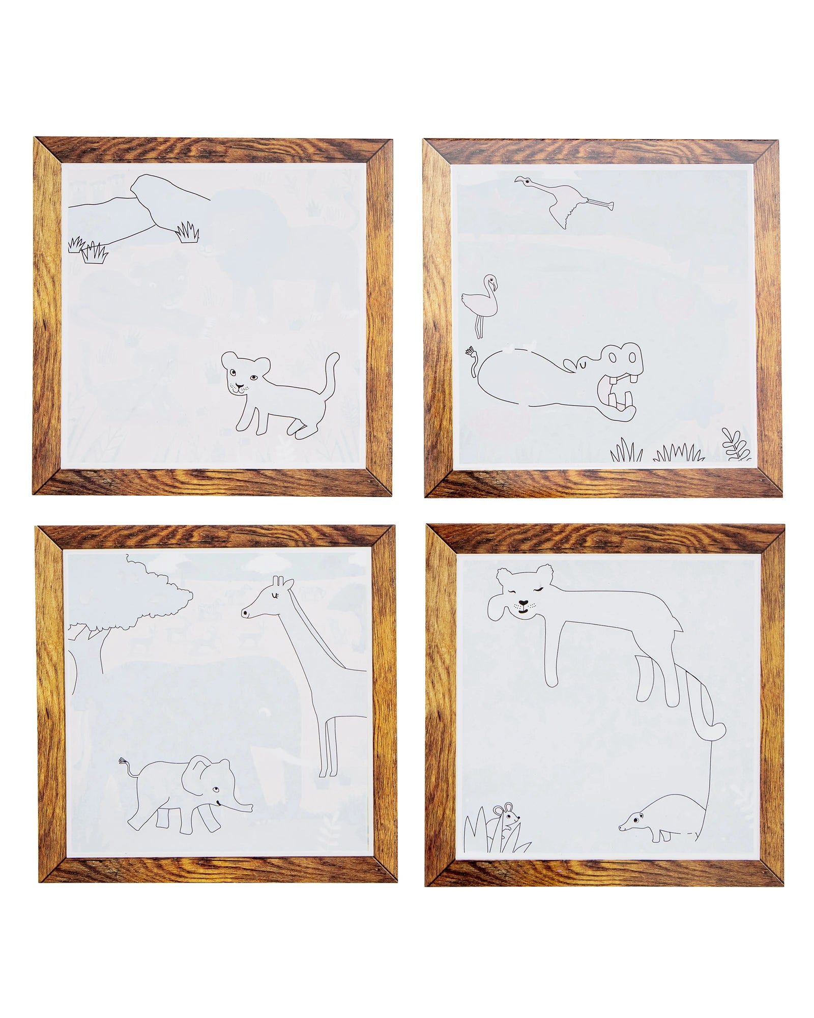 Magic Painting World - Safari Adventures