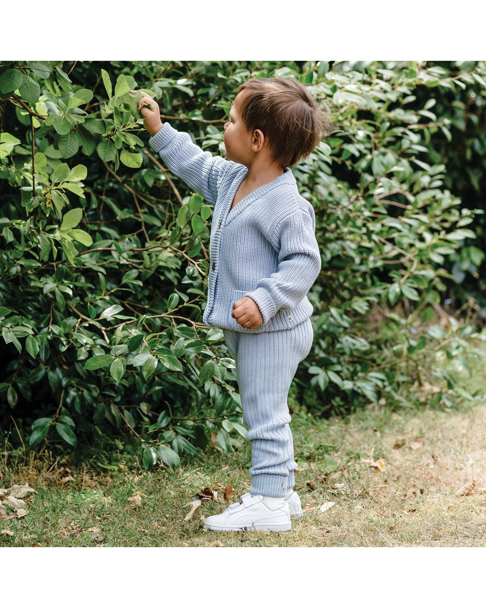 Organic Chunky Rib Knit Pant - Sky Blue Size 2