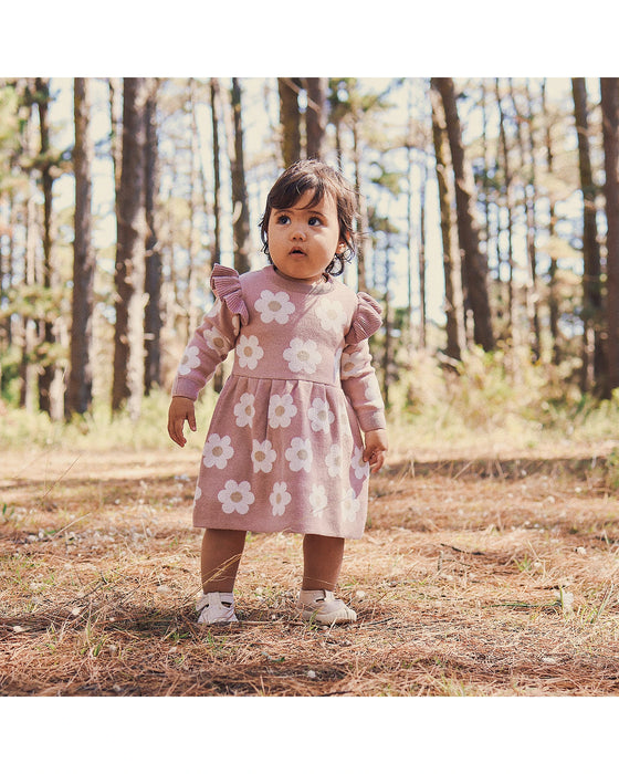 Kynd Baby Jaqcuard Knit Dress - Woodrose