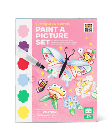 Paint a Picture Set - Butterflies and Flowers