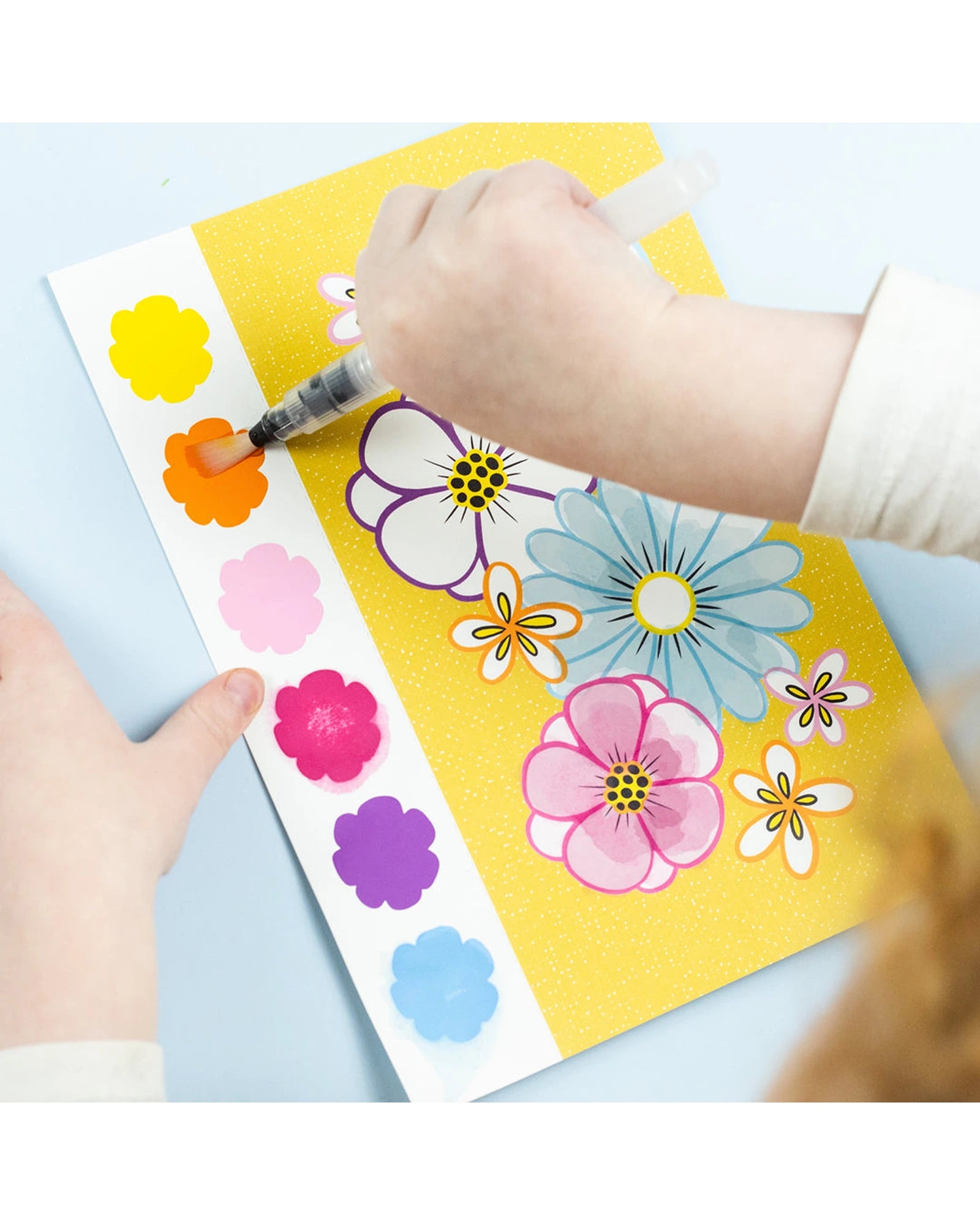 Paint a Picture Set - Butterflies and Flowers