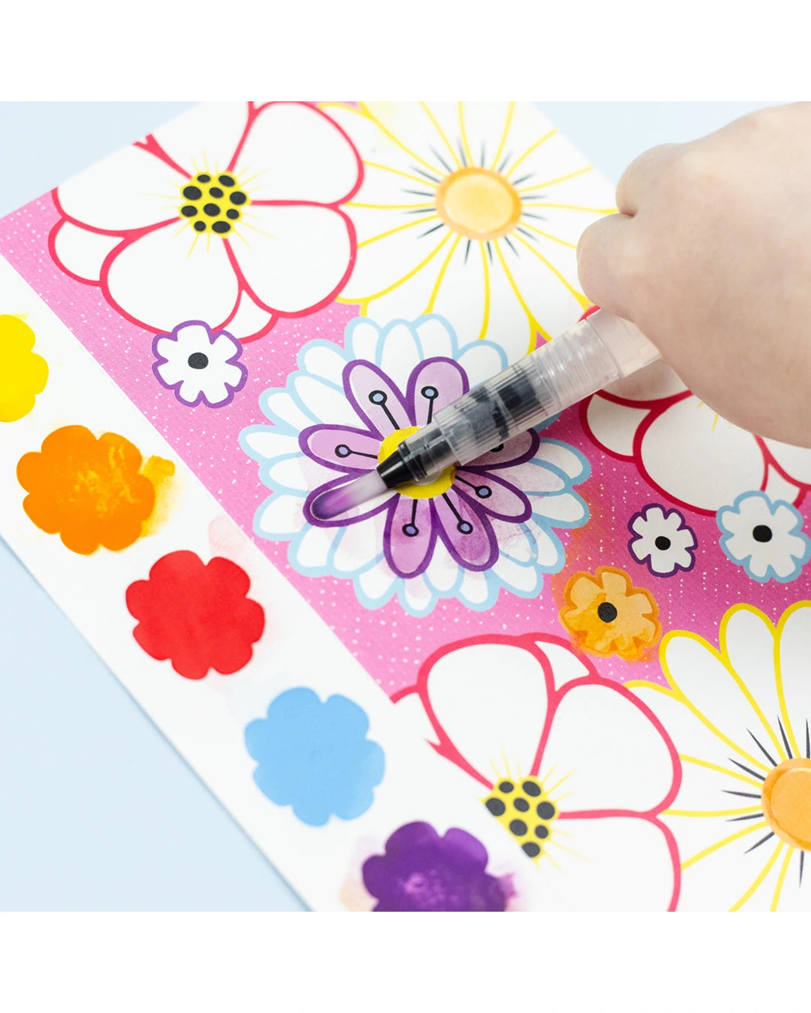 Paint a Picture Set - Butterflies and Flowers