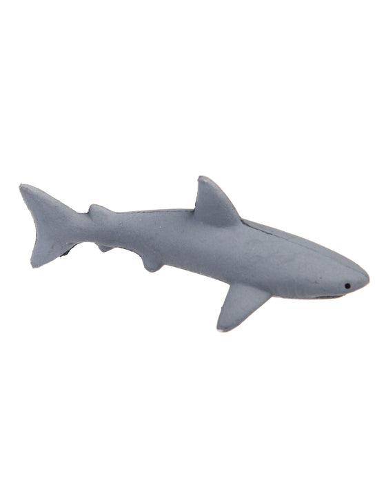 Grow Your Own Shark