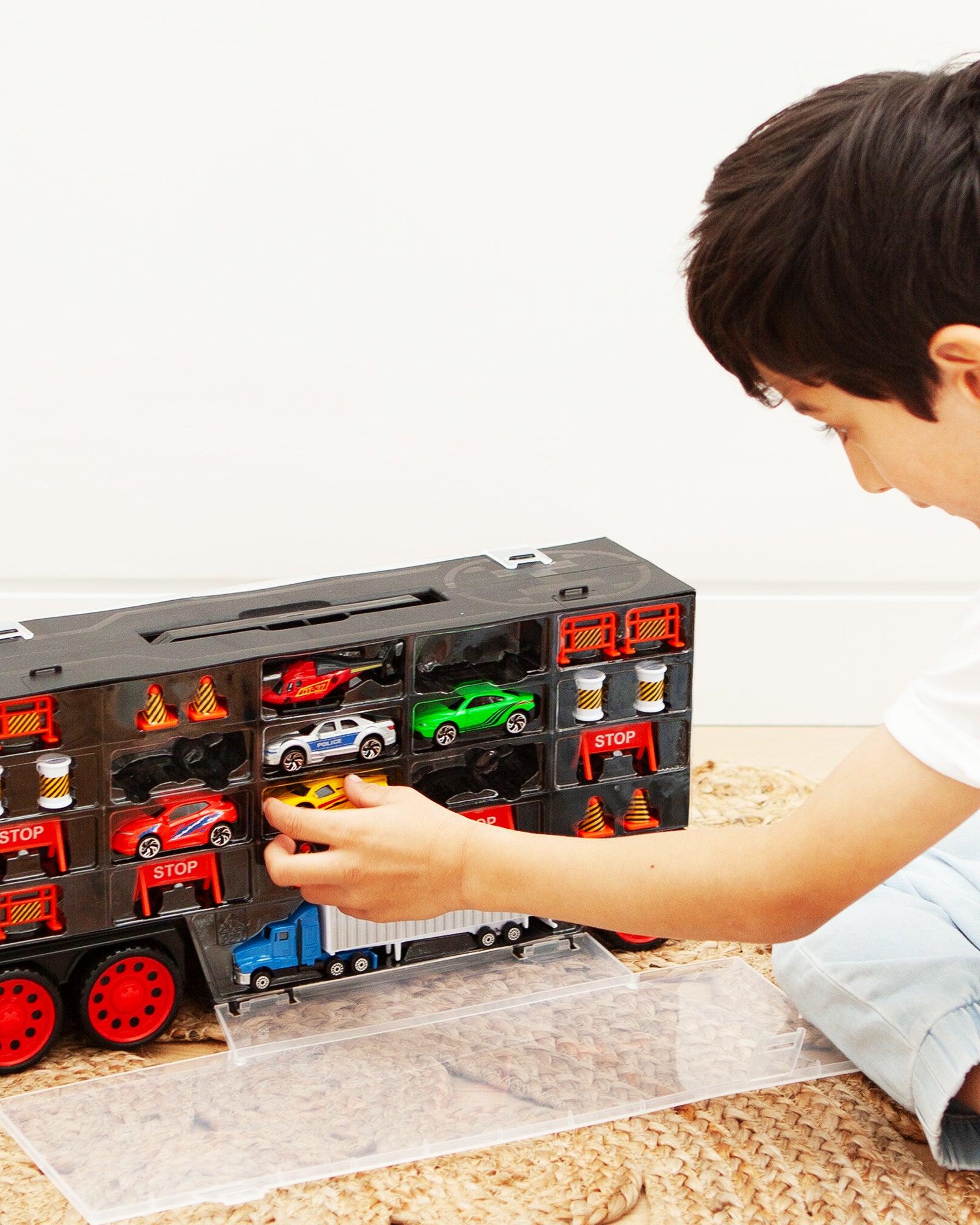 Rallye Truck Carry Case