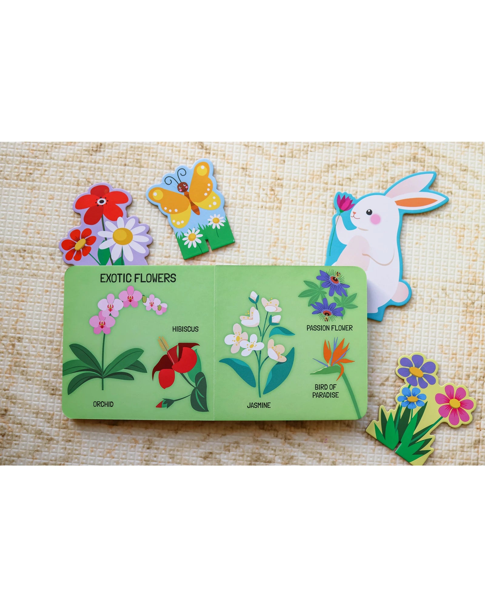 Sassi Learn all about The Flowers 3D Puzzle and Book Set 40 Pieces