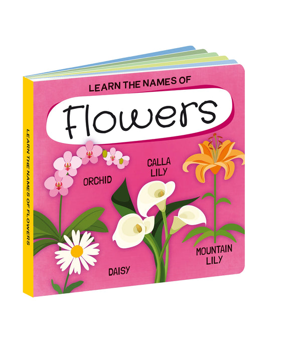 Sassi Learn all about The Flowers 3D Puzzle and Book Set 40 Pieces