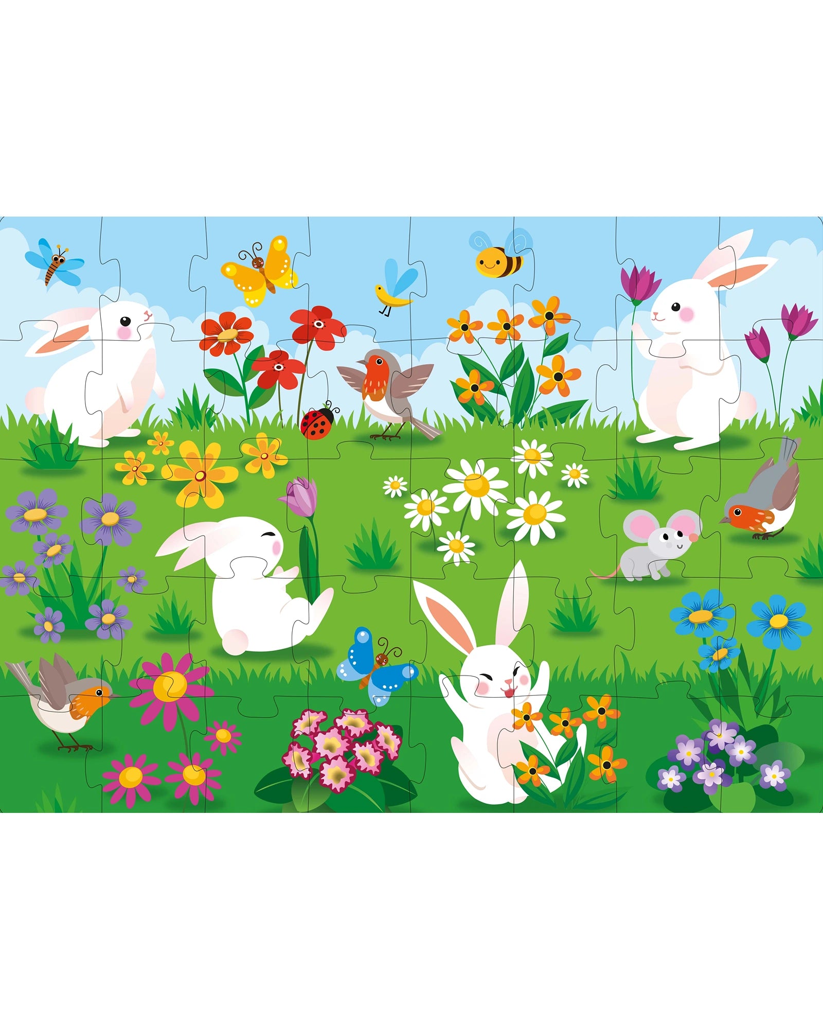 Sassi Learn all about The Flowers 3D Puzzle and Book Set 40 Pieces
