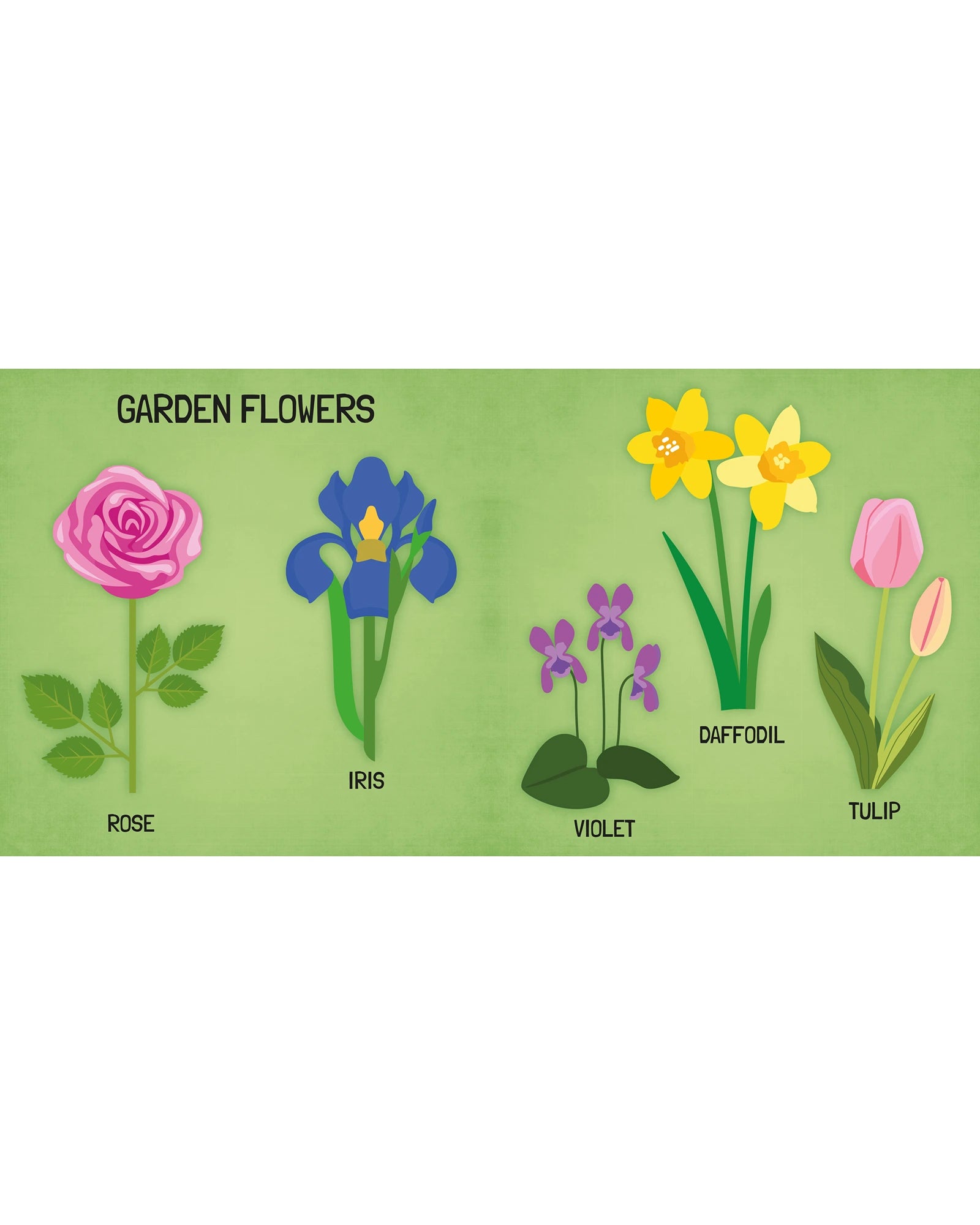 Sassi Learn all about The Flowers 3D Puzzle and Book Set 40 Pieces