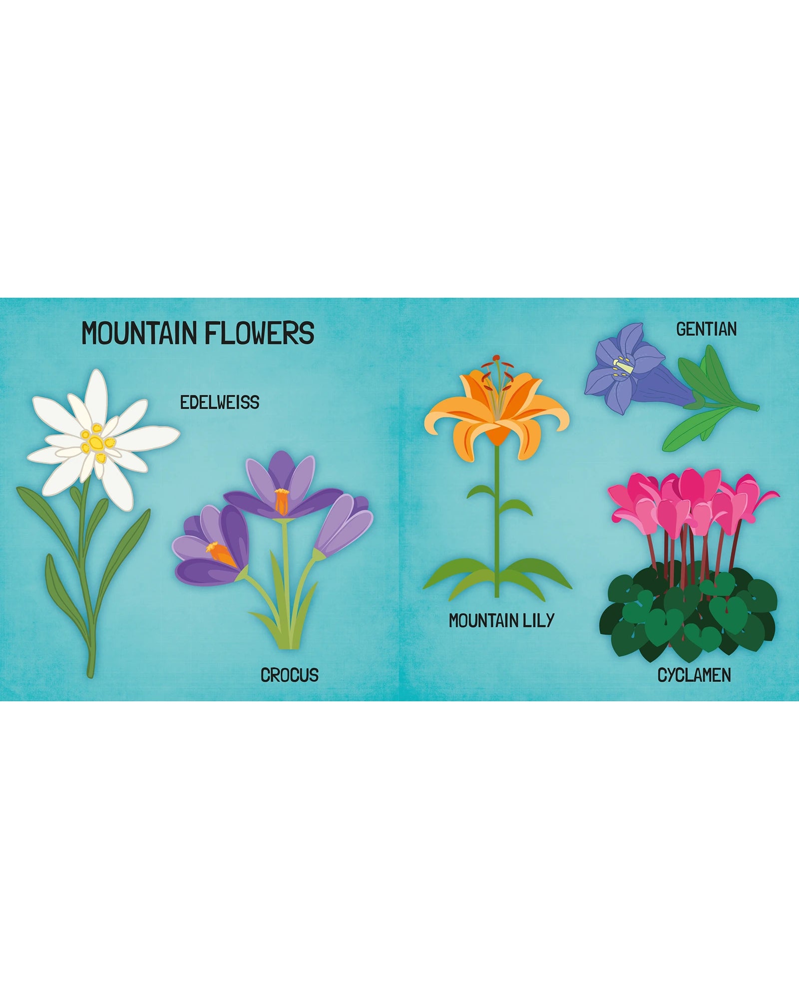 Sassi Learn all about The Flowers 3D Puzzle and Book Set 40 Pieces