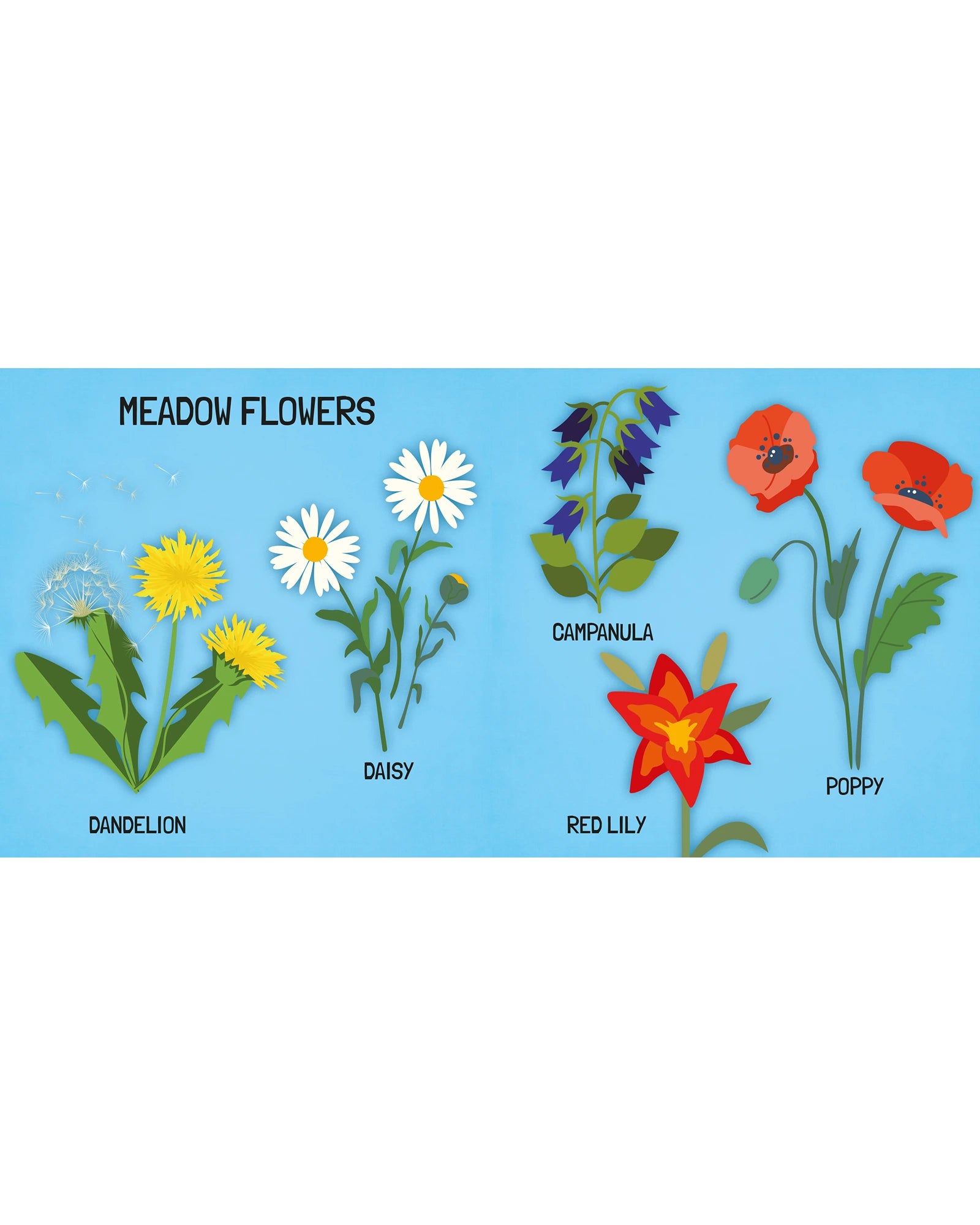 Sassi Learn all about The Flowers 3D Puzzle and Book Set 40 Pieces