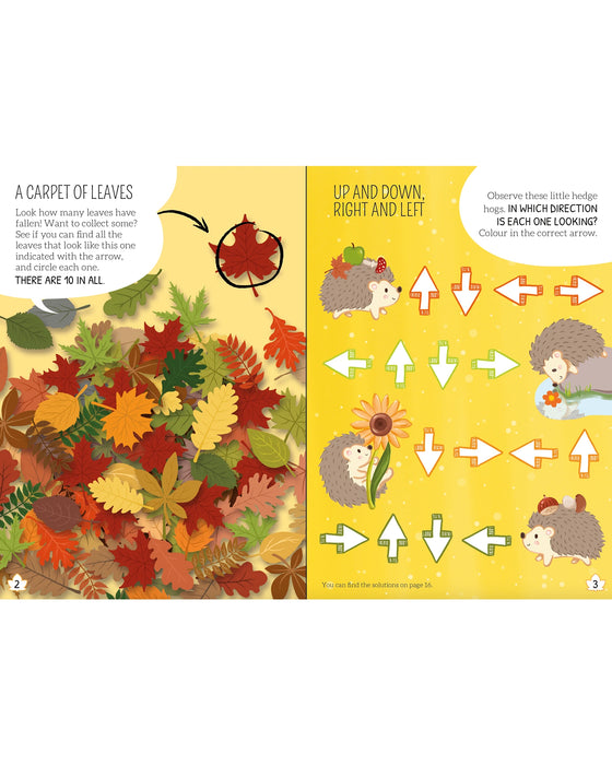 Sassi Leaves and Colours Memory Matching Game