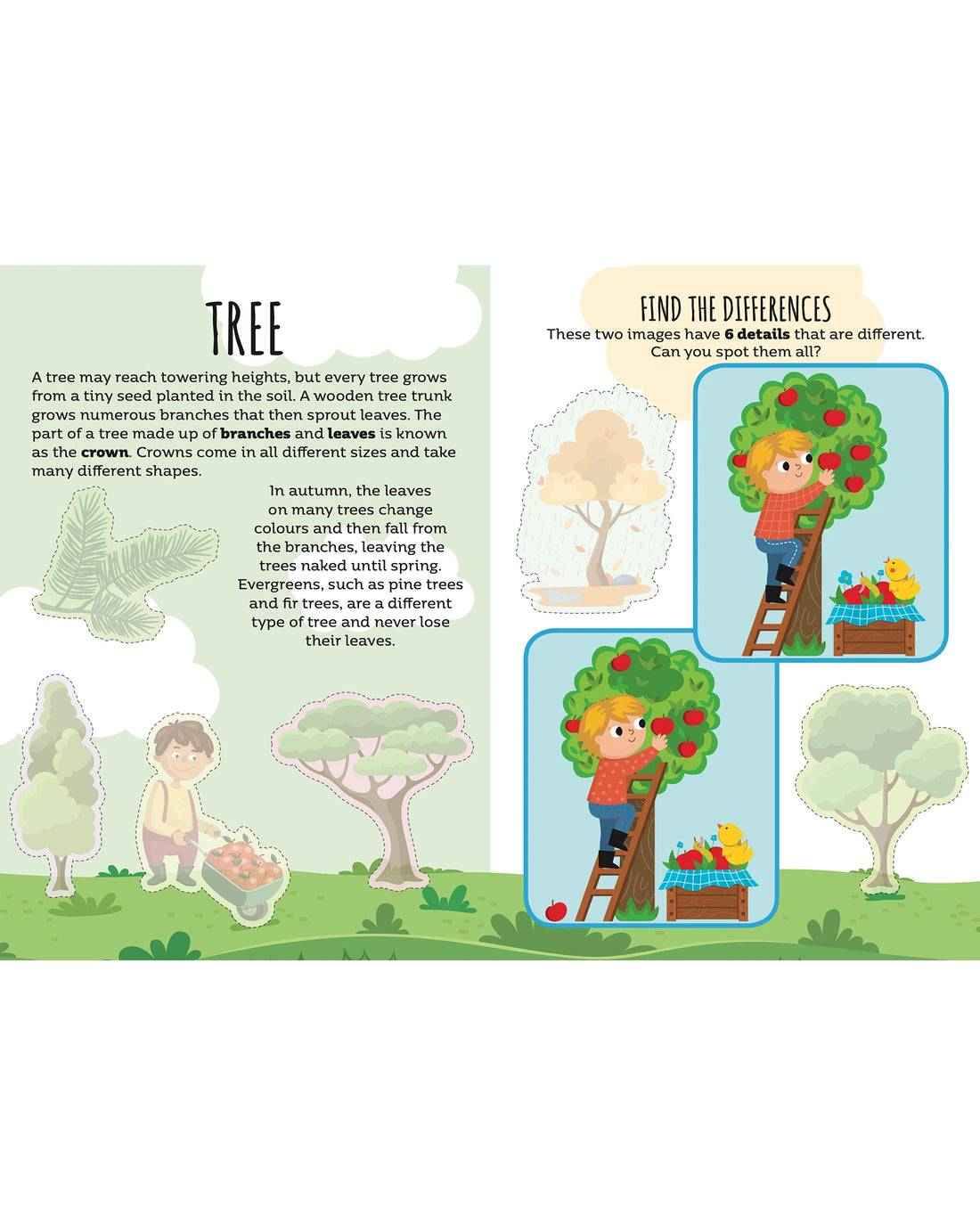 Sassi Sticker and Activity Book Nature