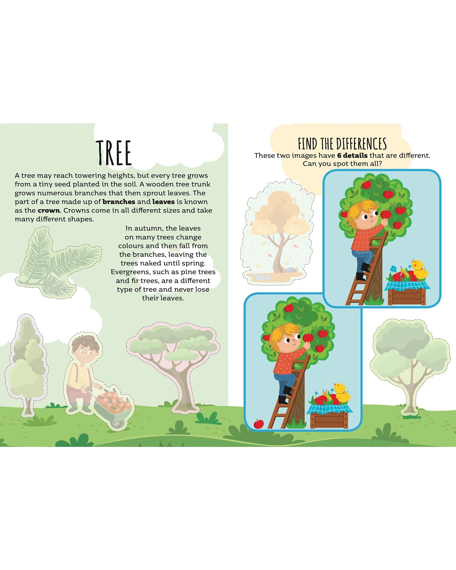 Sassi Sticker and Activity Book Nature