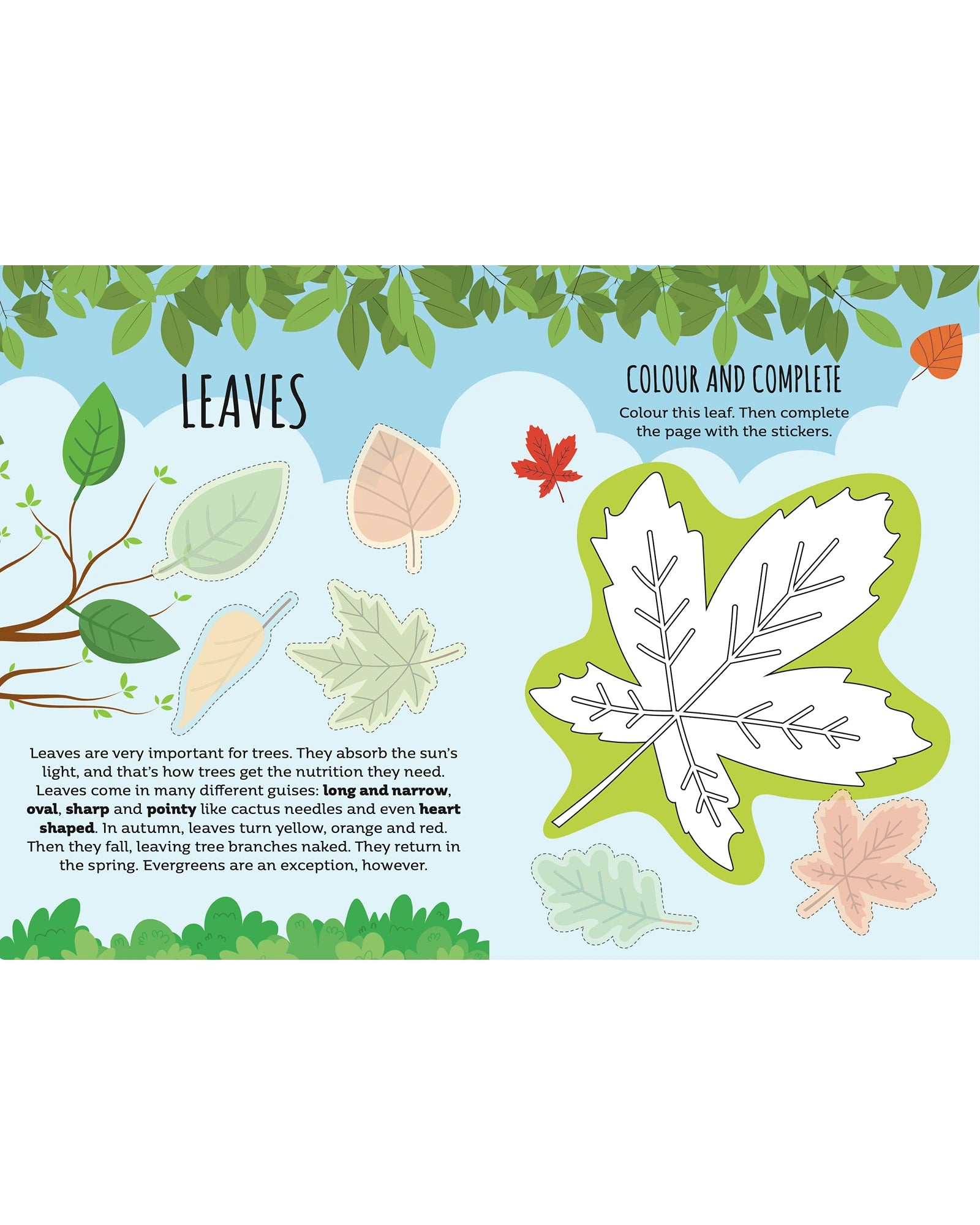 Sassi Sticker and Activity Book Nature