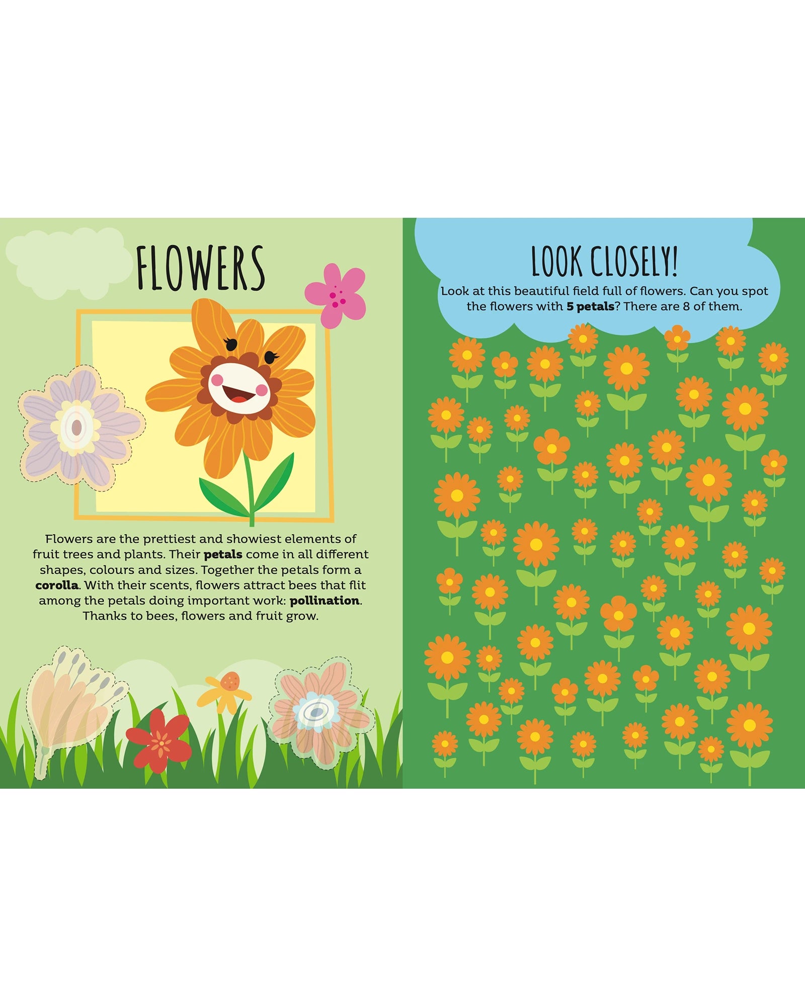 Sassi Sticker and Activity Book Nature