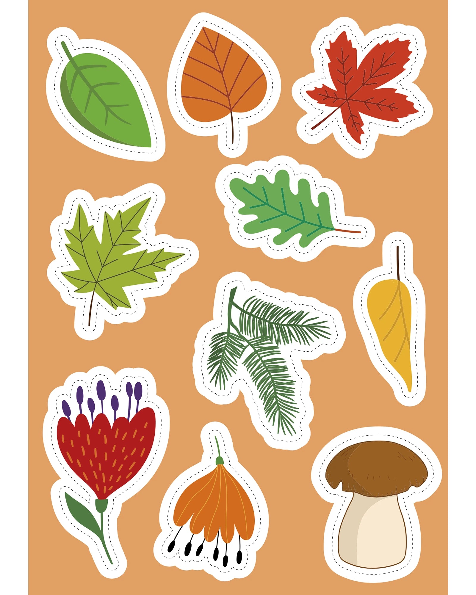 Sassi Sticker and Activity Book Nature