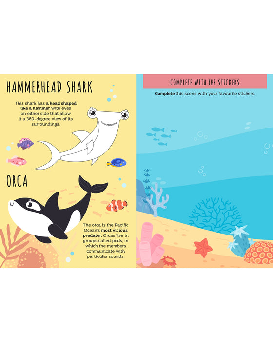 Sassi Sticker and Activity Book The Sea
