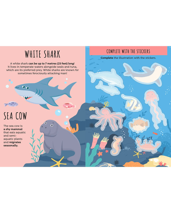 Sassi Sticker and Activity Book The Sea