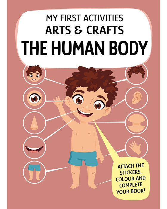 Sassi Arts and Crafts Human Body