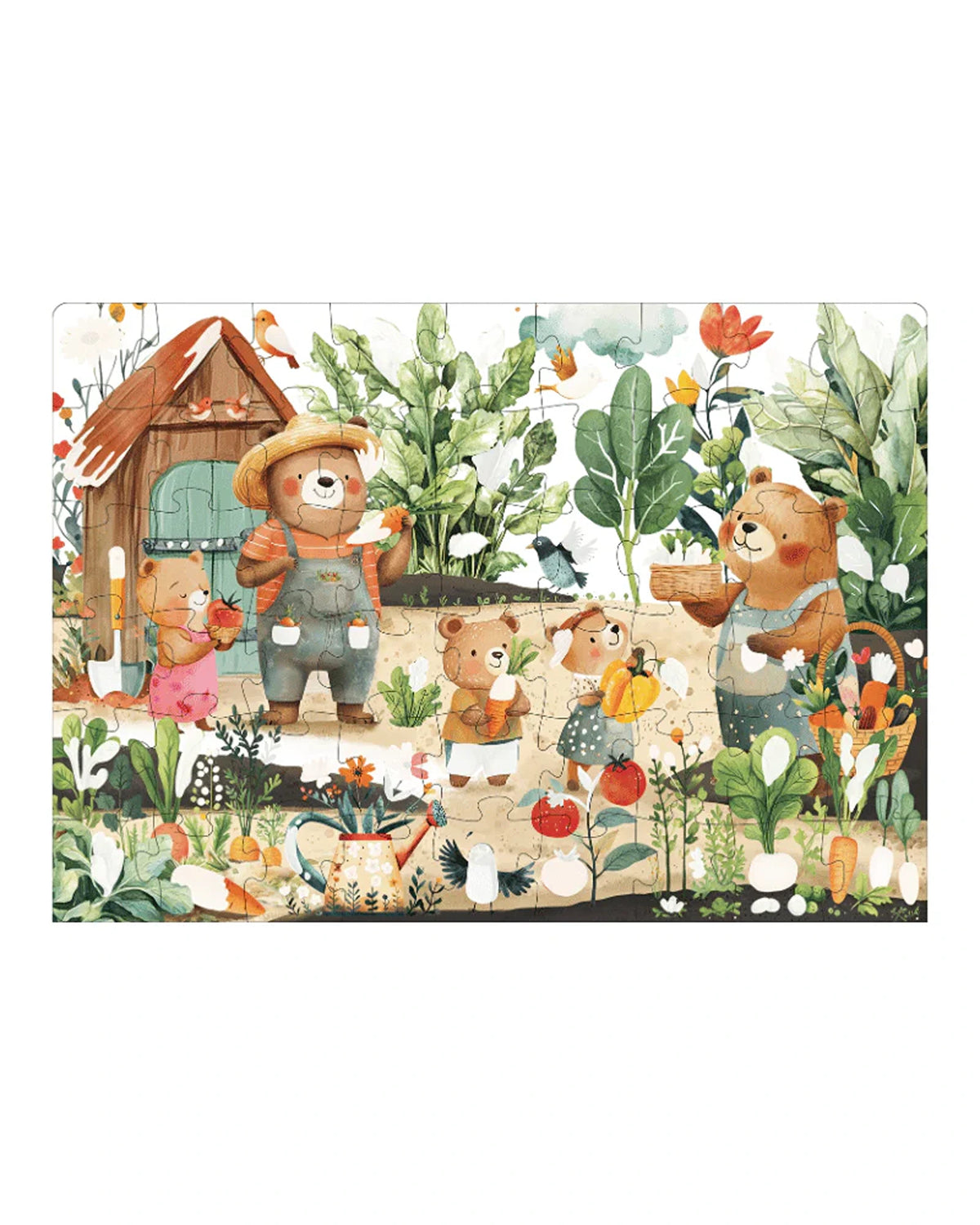 Sassi Magic Water Puzzle & Book Veggie Garden