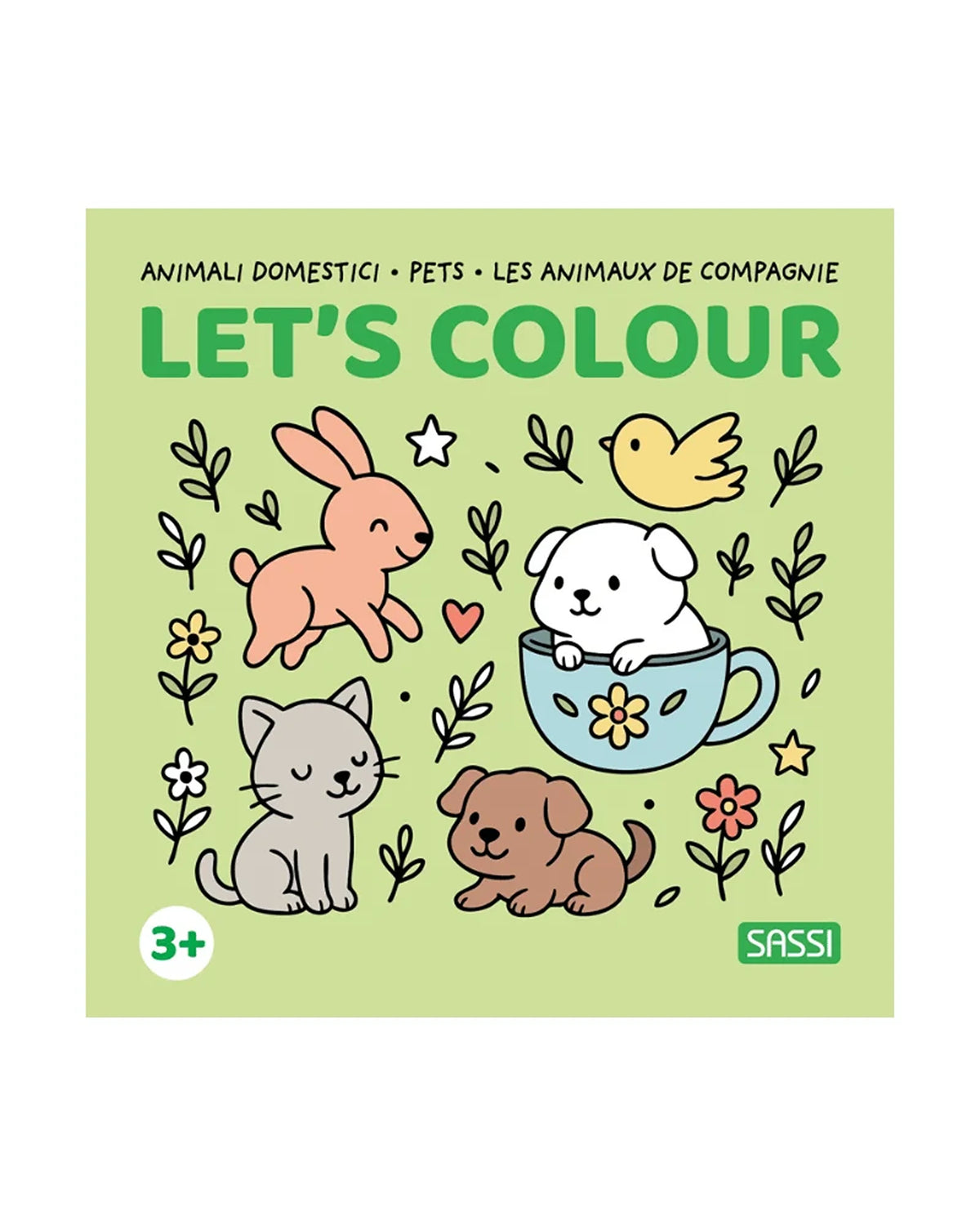 Sassi Colouring Book Square - Pets