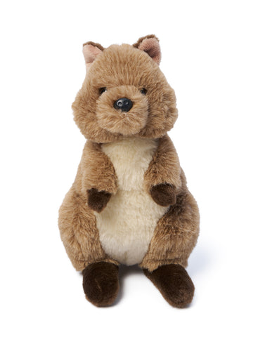 Quincey Quokka