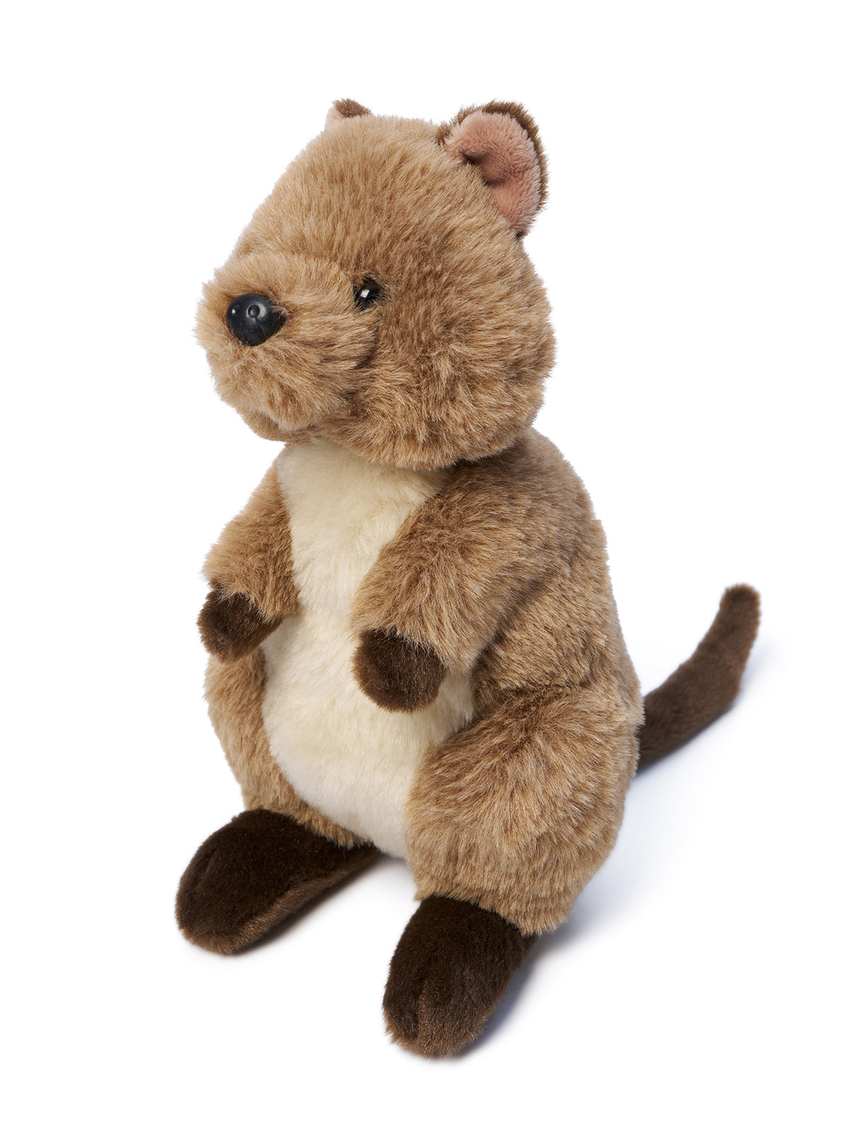 Quincey Quokka