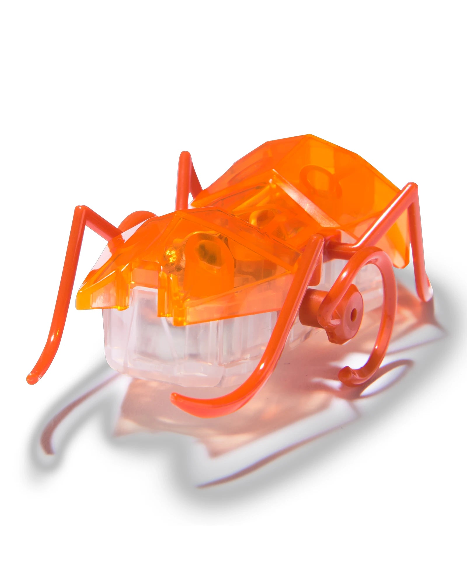 Hex Bots Micro Ant Assorted
