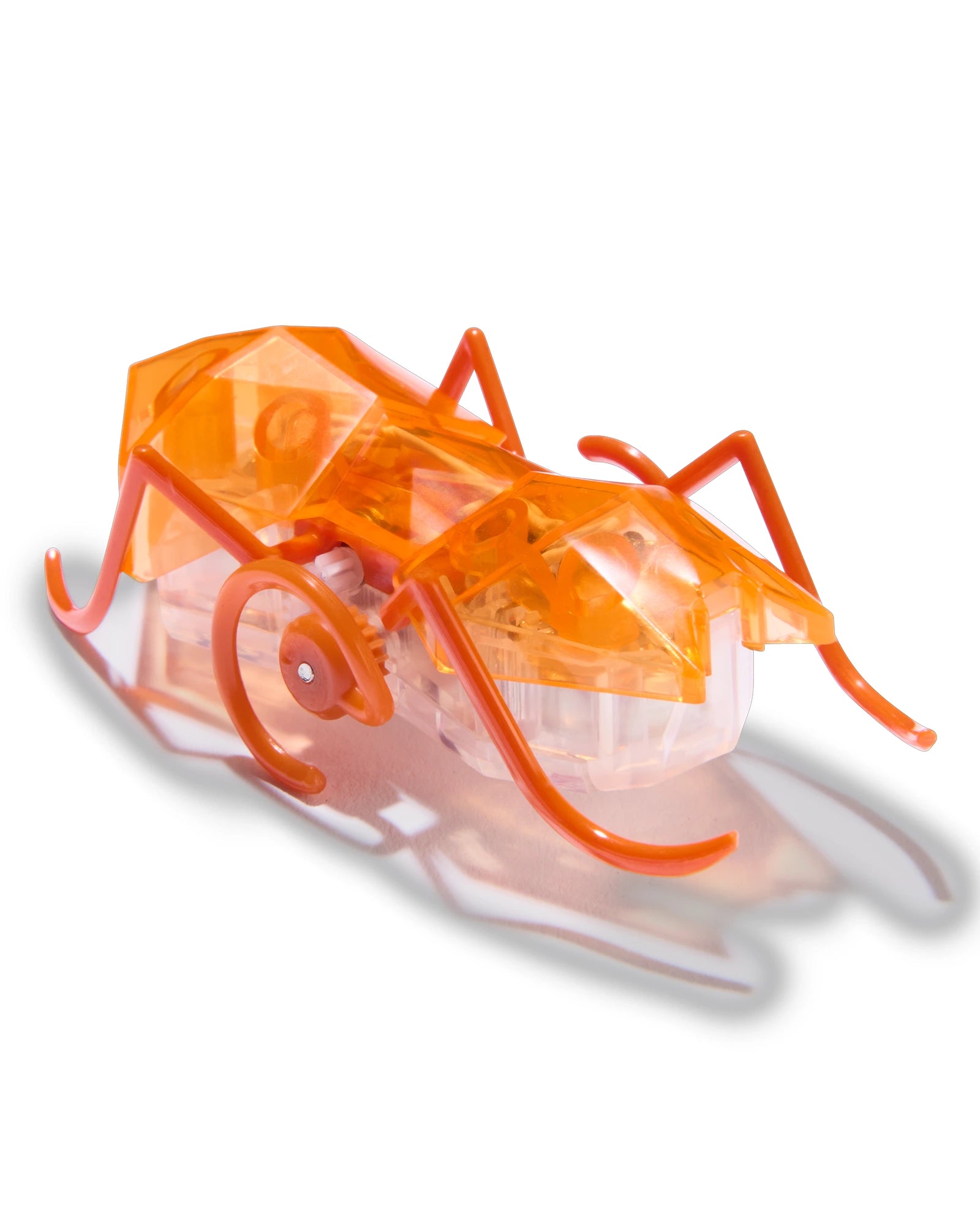 Hex Bots Micro Ant Assorted