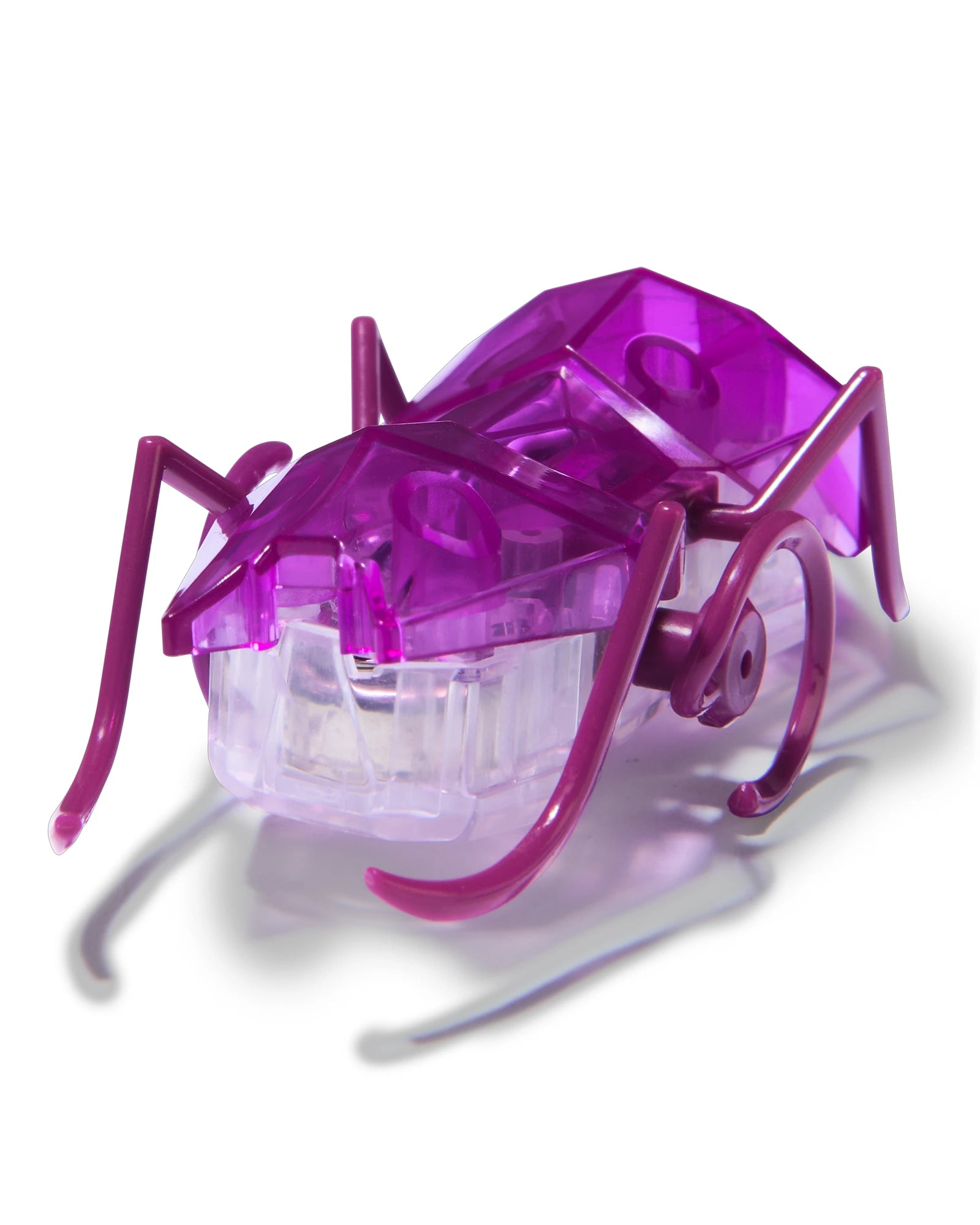 Hex Bots Micro Ant Assorted