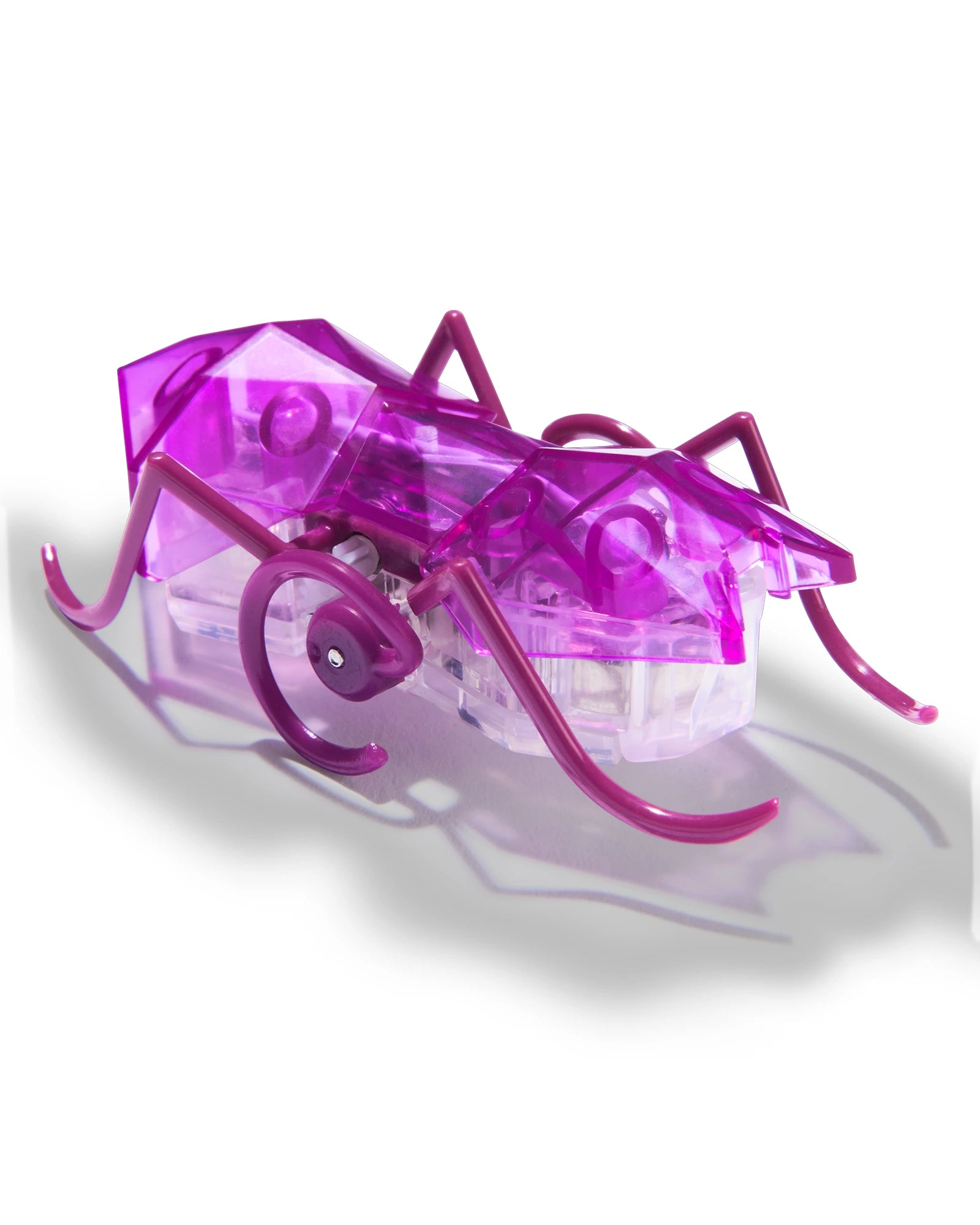 Hex Bots Micro Ant Assorted