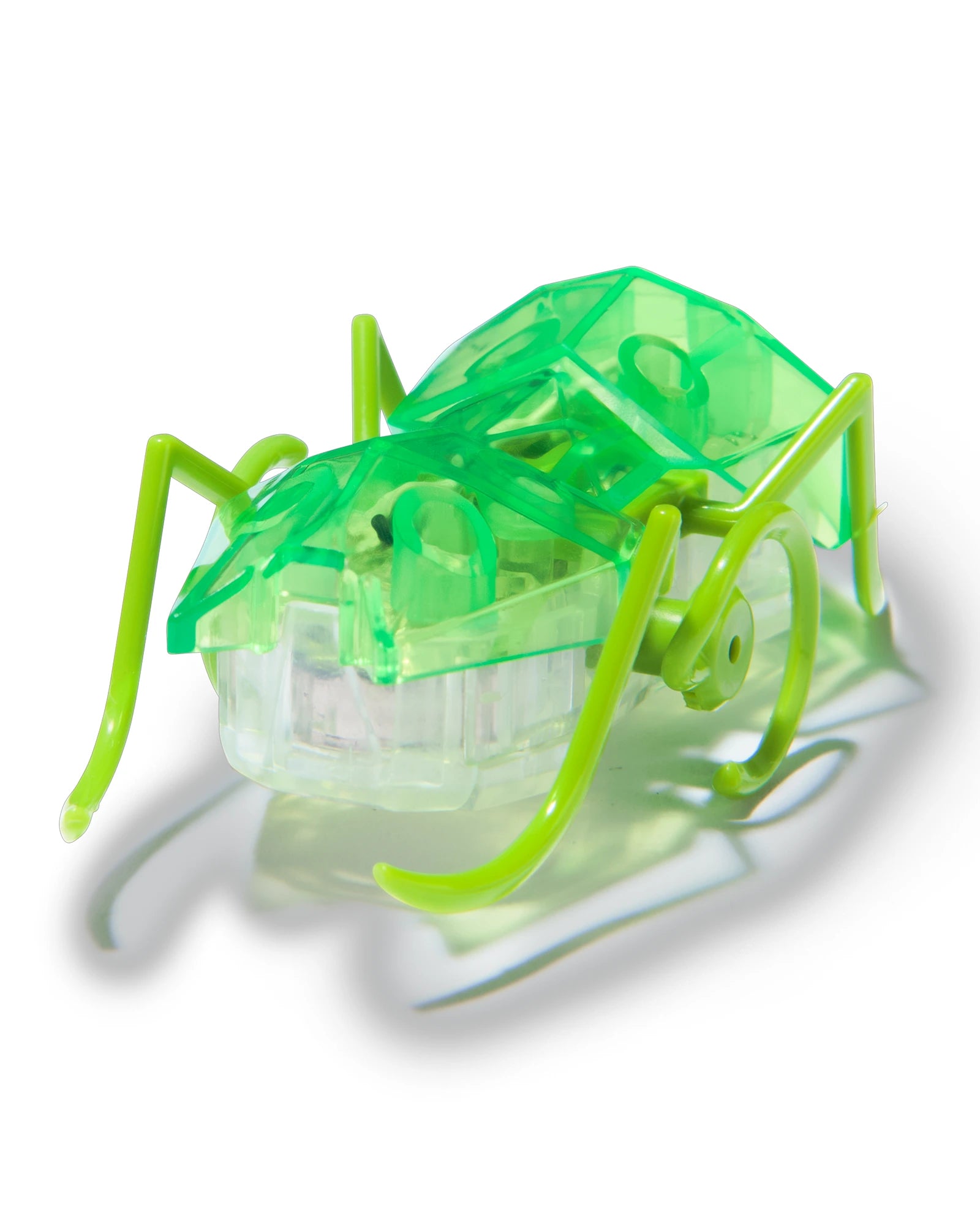 Hex Bots Micro Ant Assorted