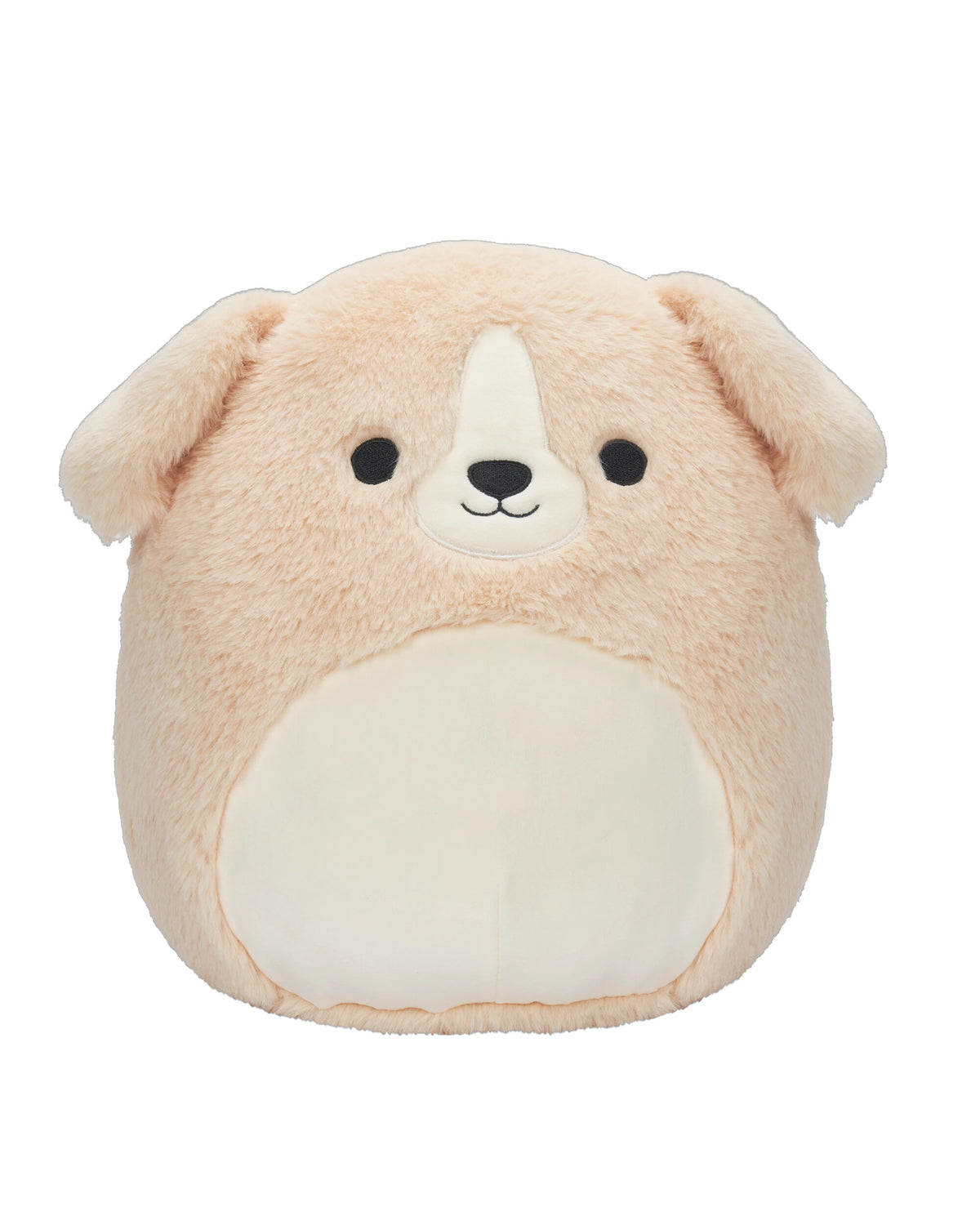 Squishmallows 12 Inch Fuzzamallows - Assorted C — Kidstuff
