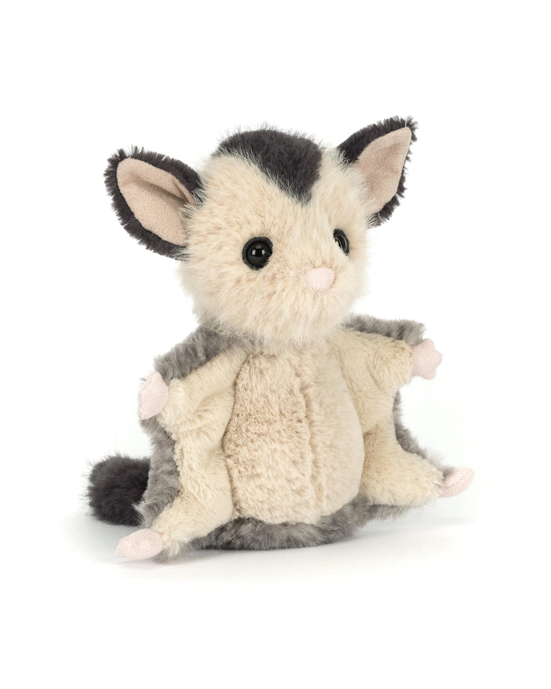Lolly Sugar Glider