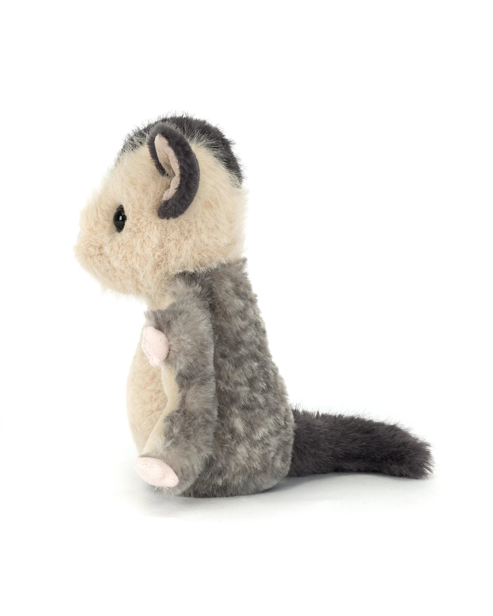 Lolly Sugar Glider