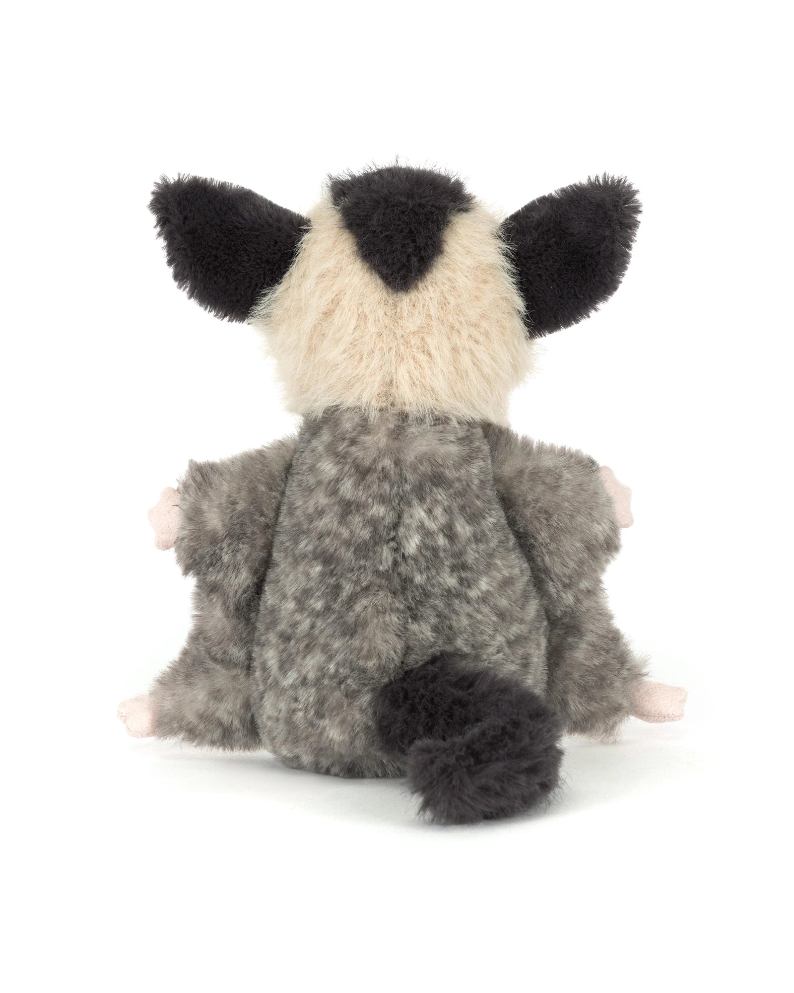 Lolly Sugar Glider