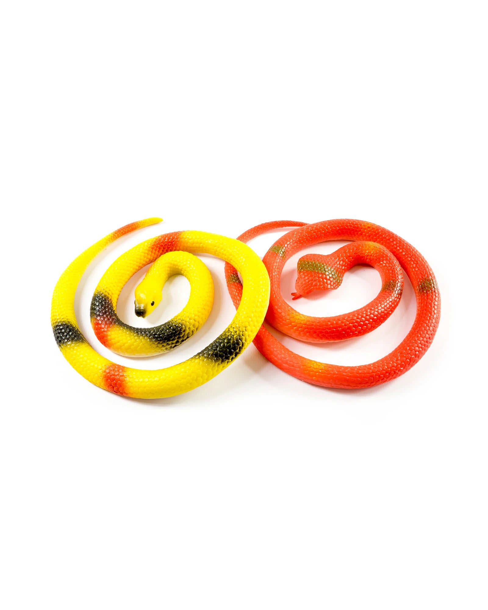 Zoo Crew Stretchy Snake - Assorted