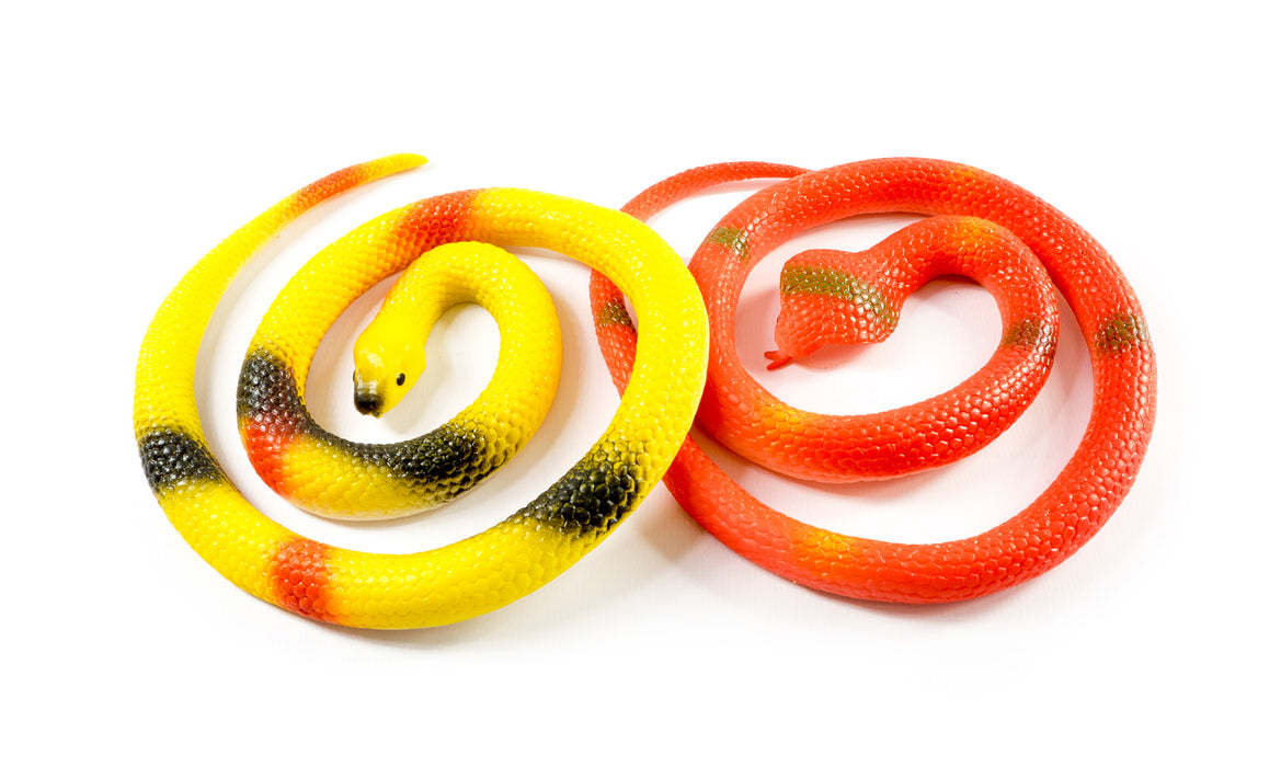Zoo Crew Stretchy Snake - Assorted
