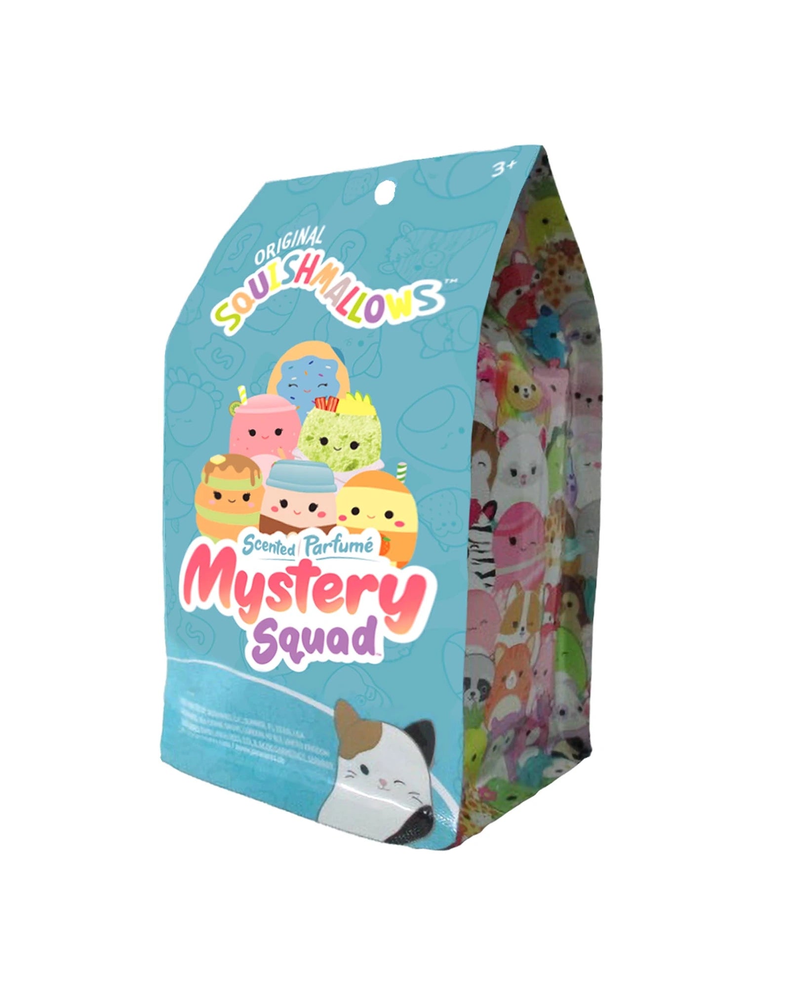 Squishmallows 5 Inch Scented Mystery Squad Assorted
